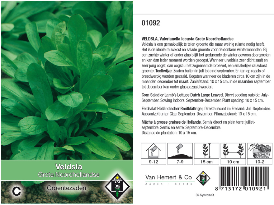 Valerianella locusta 'Grote Noordhollandse' Veldsla