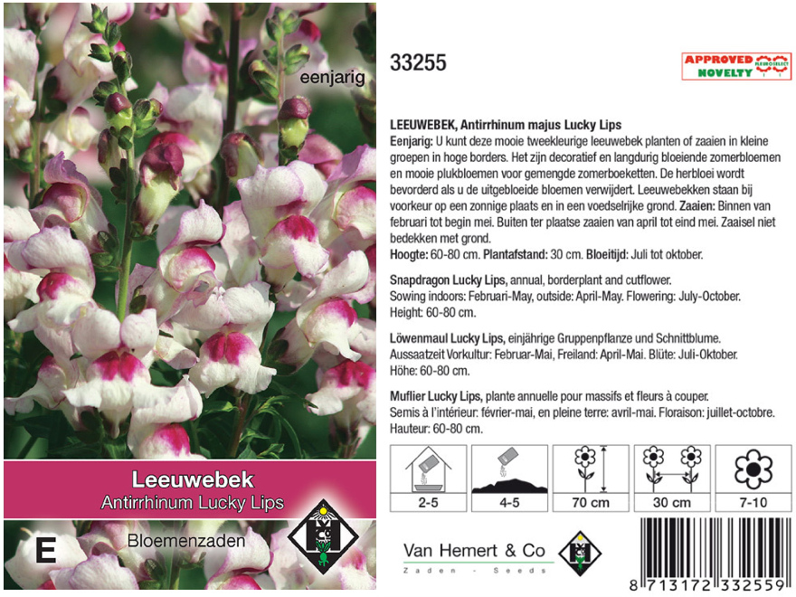 Antirrhinum majus 'Lucky Lips' Rozewitte Leeuwenbek