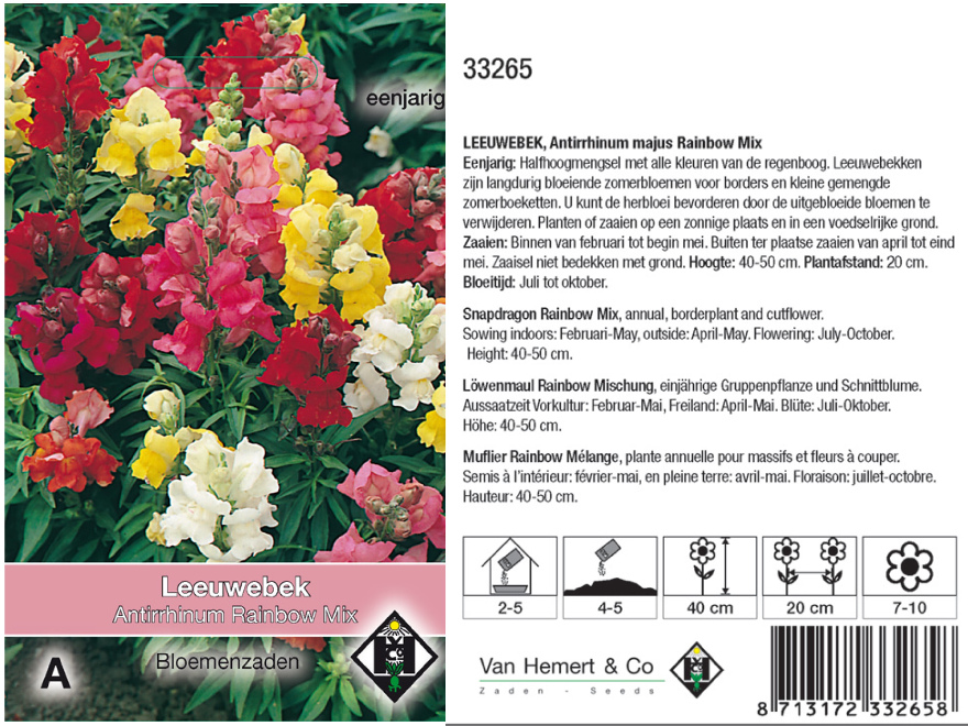 Antirrhinum majus 'Rainbow Mix' Diverse Kleuren Leeuwenbek
