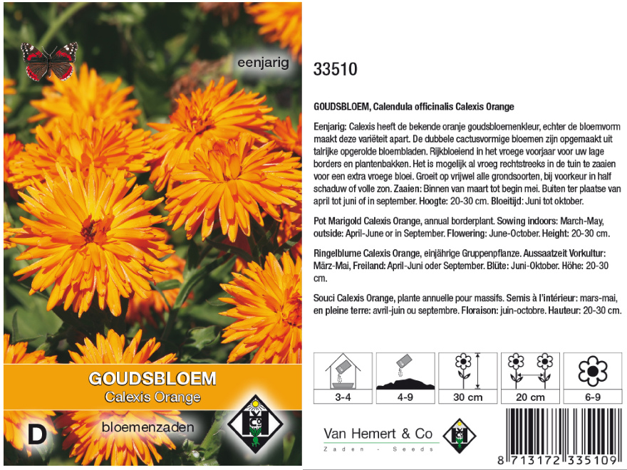 Calendula officinalis 'Calexis Orange' Oranje Goudsbloem