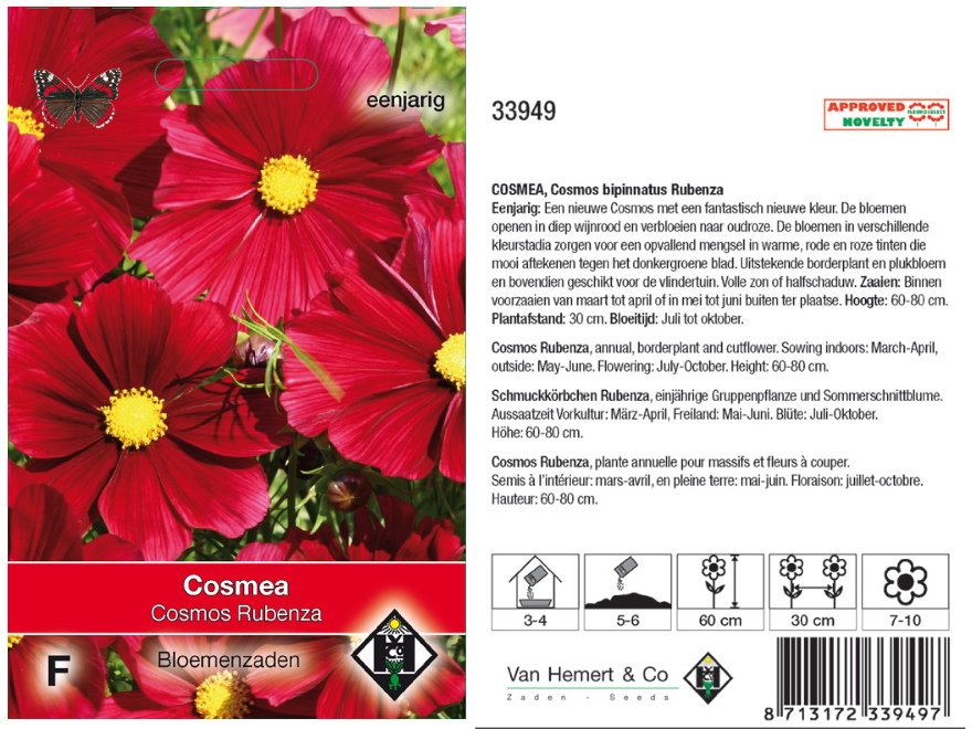 Cosmos bipinnatus 'Rubenza' Rode Cosmea