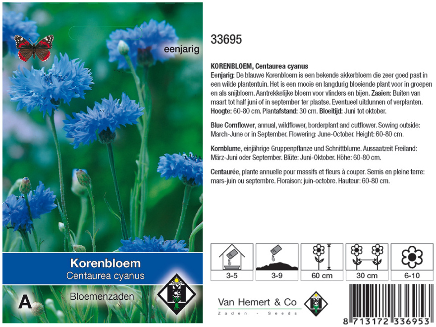 Centaurea cyanus  Blauwe Korenbloem