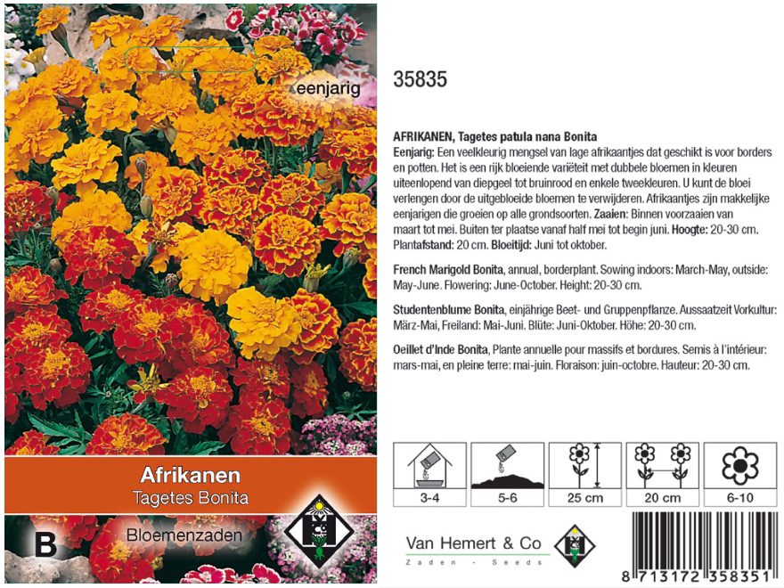 Tagetes patula nana 'Bonita' Afrikanen