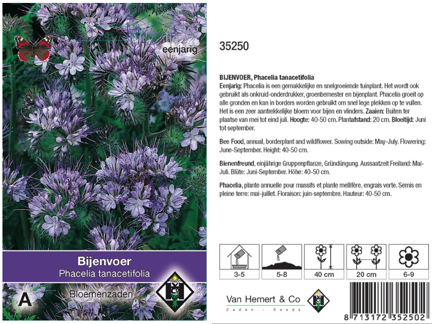 Phacelia tanacetifolia Bijenvoer, Bijenbrood