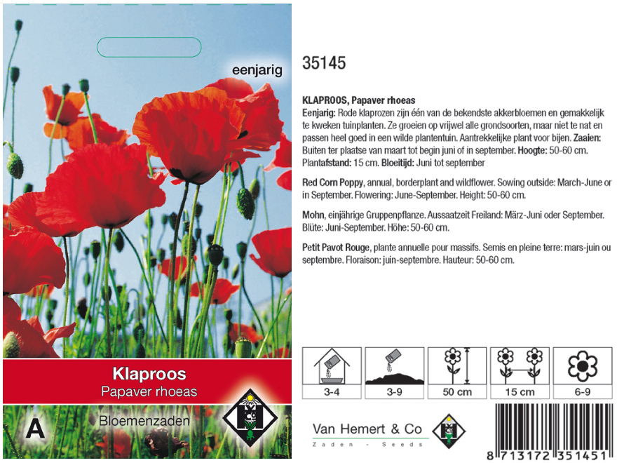 Papaver rhoeas Klaproos