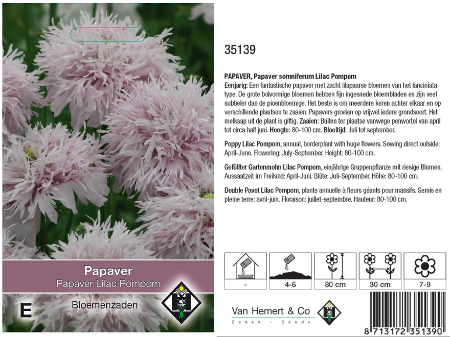 Papaver somniferum Lilac Pompom 