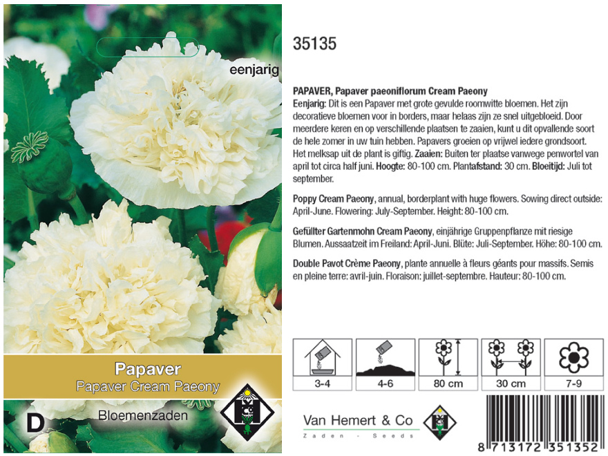 Papaver Paeoniforum cream Paeony Witte klaproos