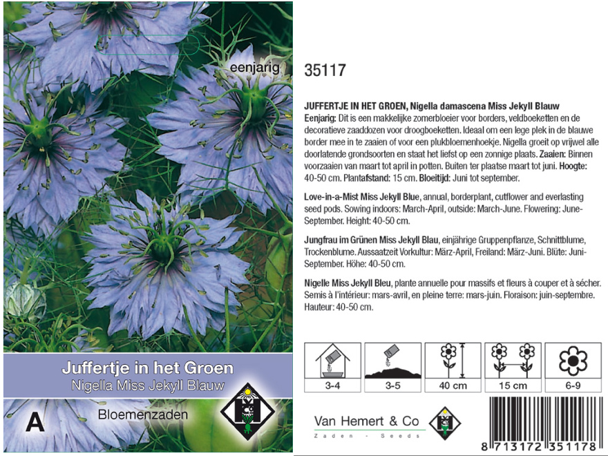 Nigella damascena Miss Jekyll Blauw Juffertje in het groen