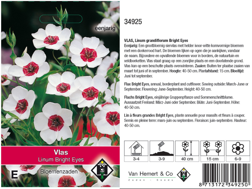 Linum grandiflorum 'Bright Eyes' Grootbloemig vlas