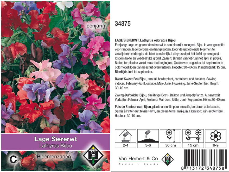 Lathyrus odoratus 'Bijou' Lage siererwt