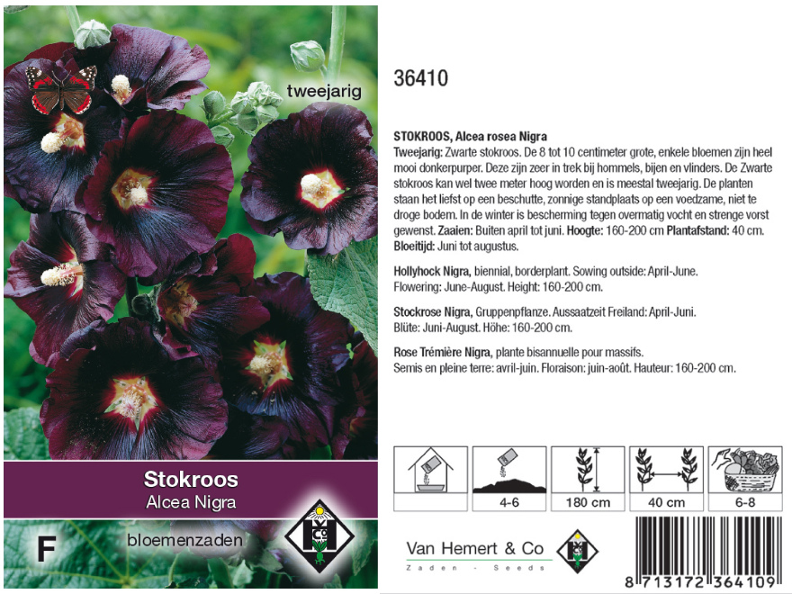 Alcea rosea 'Nigra' Enkelbloemige Bijna Zwarte Stokroos