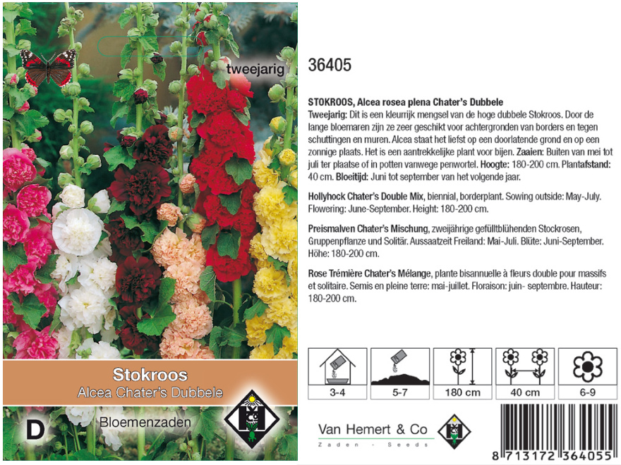 Alcea rosea plena 'Chater's Dubbele' Dubbelbloemige Stokroos 