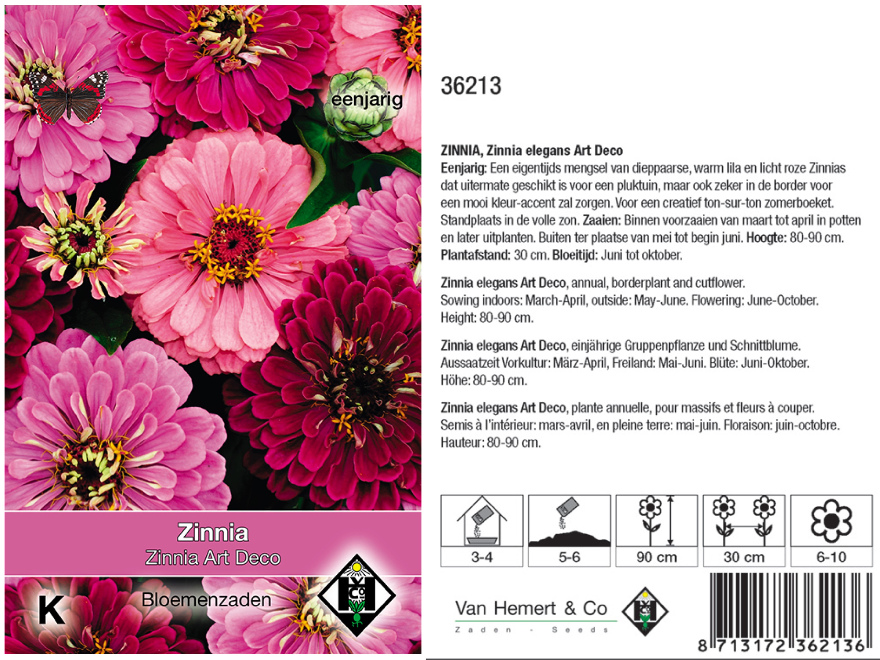Zinnia elegans 'Art Deco' Zinnia