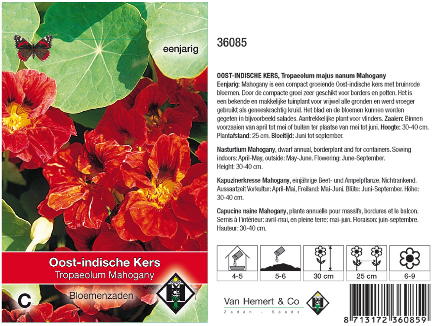 Tropaeolum majus namum 'Mahogany' Oost-Indische kers