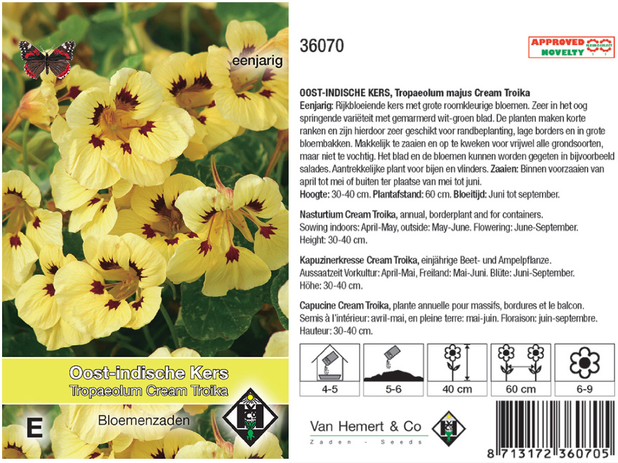 Tropaeolum majus 'Cream Troika' Oost-Indische kers