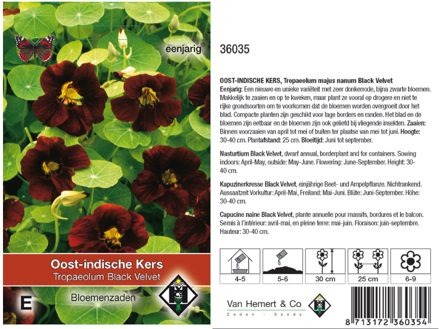 Tropaeolum majus nanum 'Black Velvet' Oost-Indische kers
