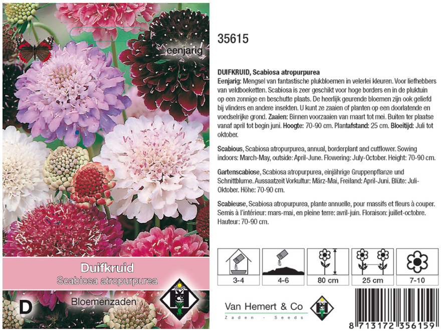 Scabiosa atropurpurea Mix Druifkruid