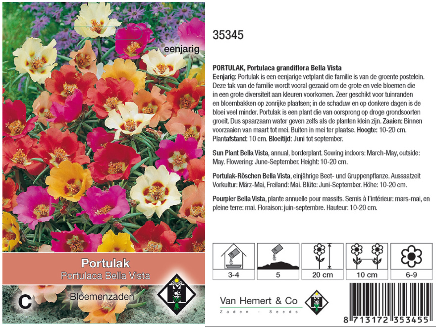 Portulaca grandiflora Bella Vista Mix 