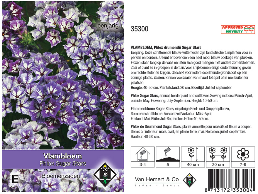 Phlox drummondii Sugar Stars Vlambloem