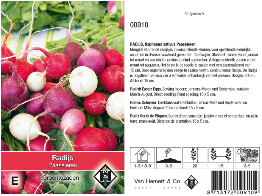 Raphanus sativus var sativus (PAASEIEREN) Radijs Paaseieren