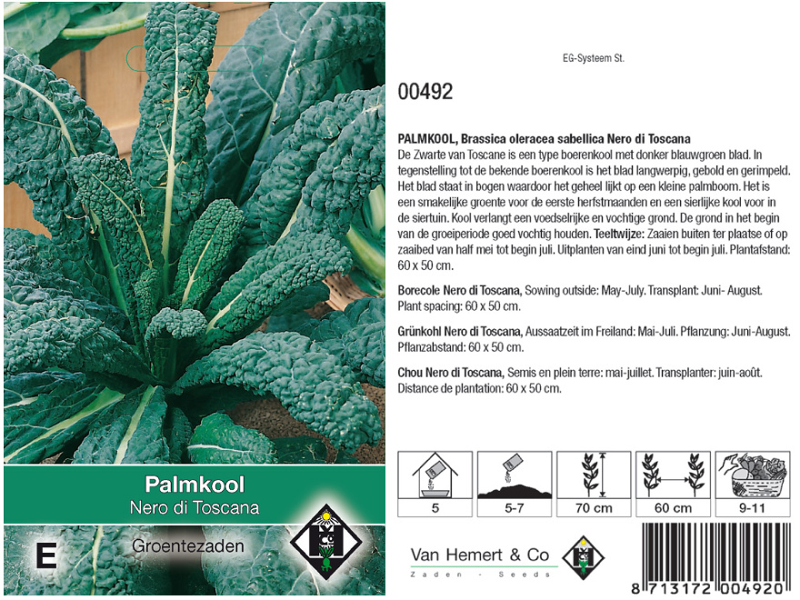 Brassica oleracea sabellica 'Nero di Toscana' Palmkool, Zwarte van Toscane, Boerenkool
