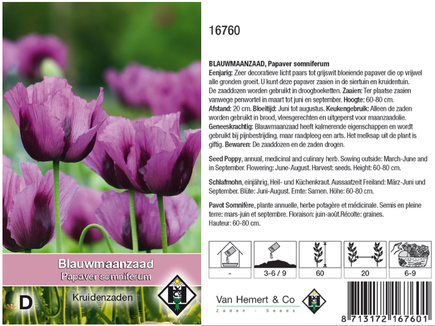 Papaver somniferum Blauwmaanzaad