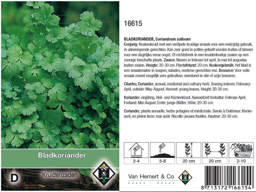 Coriandrum sativum Bladkoreander