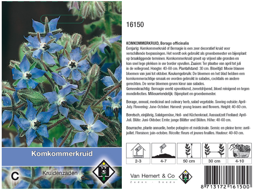 Borago officinalis Komkommerkruid, Borago