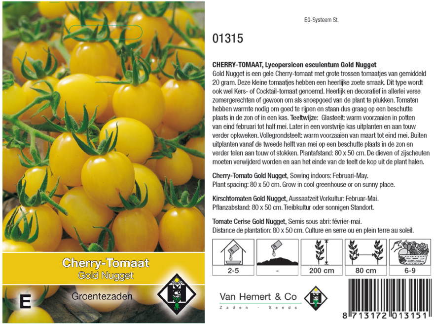 Lycopersicon esculentum 'Gold Nugget' Cherry-Tomaat 'Gold Nugget'