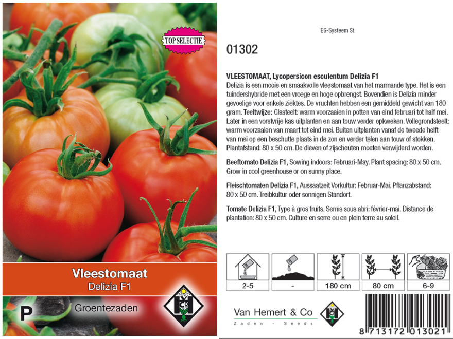Lycopersicon esculentum Delizia F1 Vleestomaat 