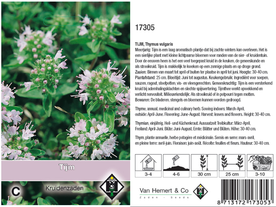 Thymus vulgaris Tijm