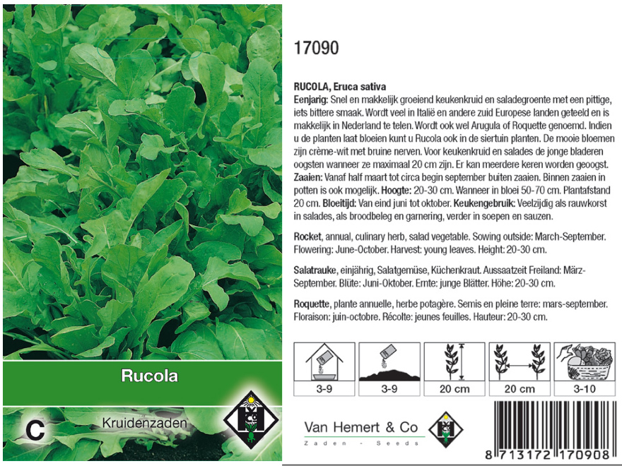 Eruca sativa Rucola