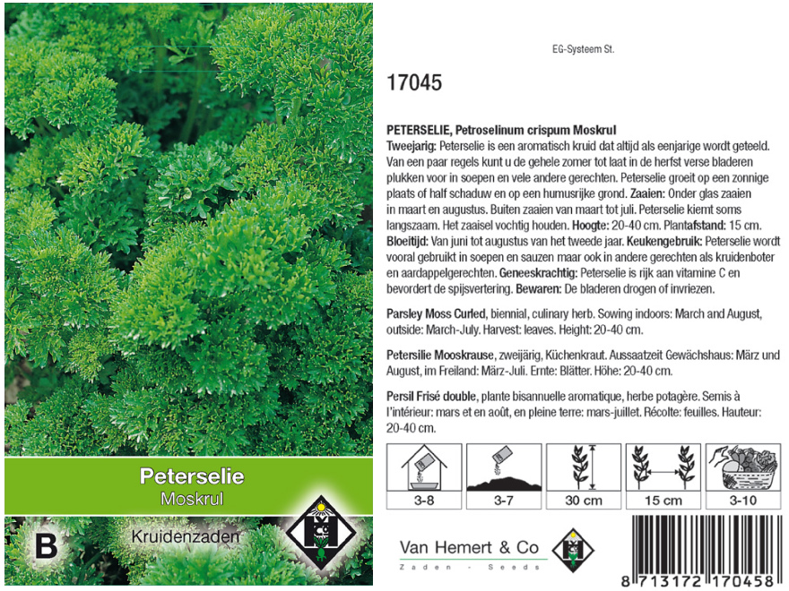 Peterselinum crispum 'Moskrul' Peterselie 