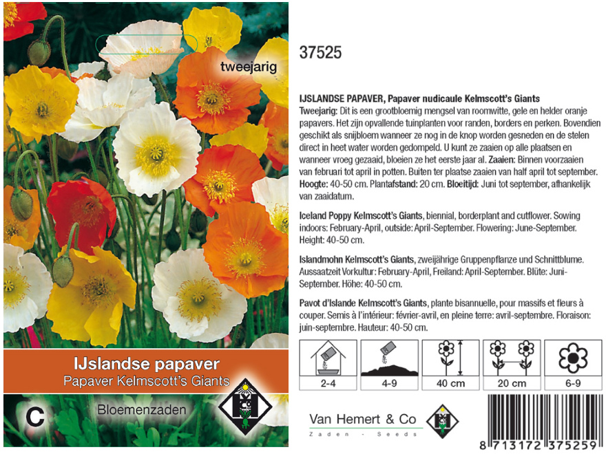 Papaver nudicaule 'Kelmscott's Giants' Ijslandse Papaver
