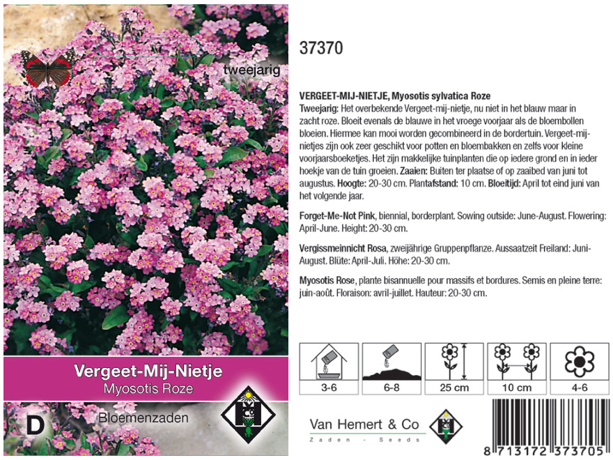 Myosotis sylvatica Roze Vergeet-mij-nietje