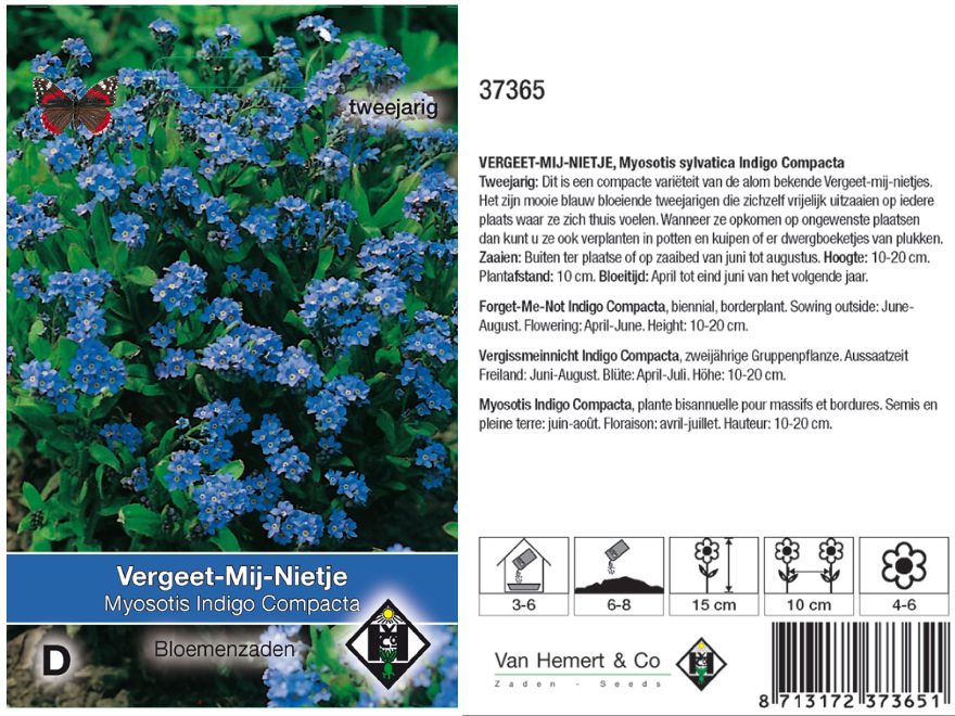 Myosotis sylvatica Indigo Compacta Vergeet-mij-nietje