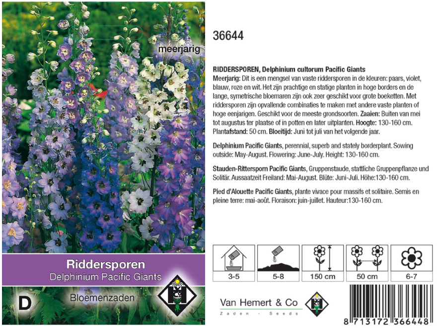 Delphinium cultorum 'Pacific Giant' Riddersporen 'Pacific Giants'