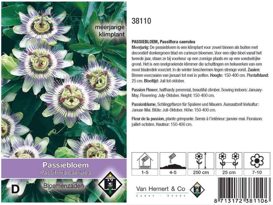 Passiflora caerulea Passiebloem