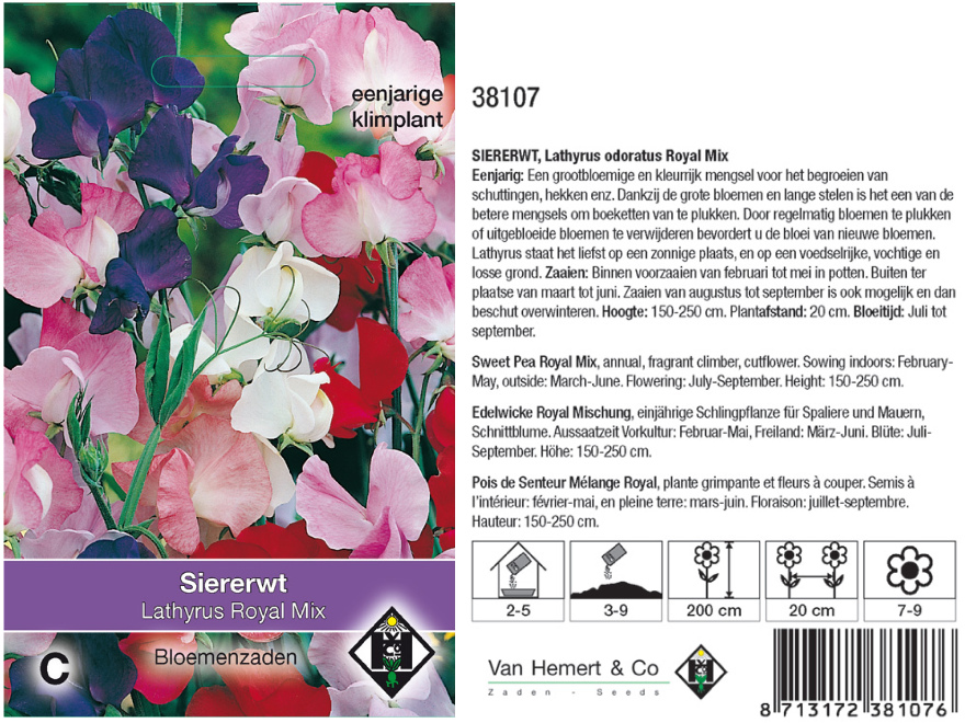 Lathyrus odoratus 'Royal Mix' Siererwt