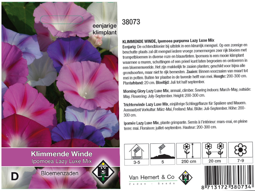 Ipomoea pupurea 'Lazy Luxe Mix' Klimmende Winde