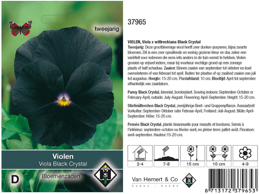 Viola x wittrockiana Black Cristal Viool