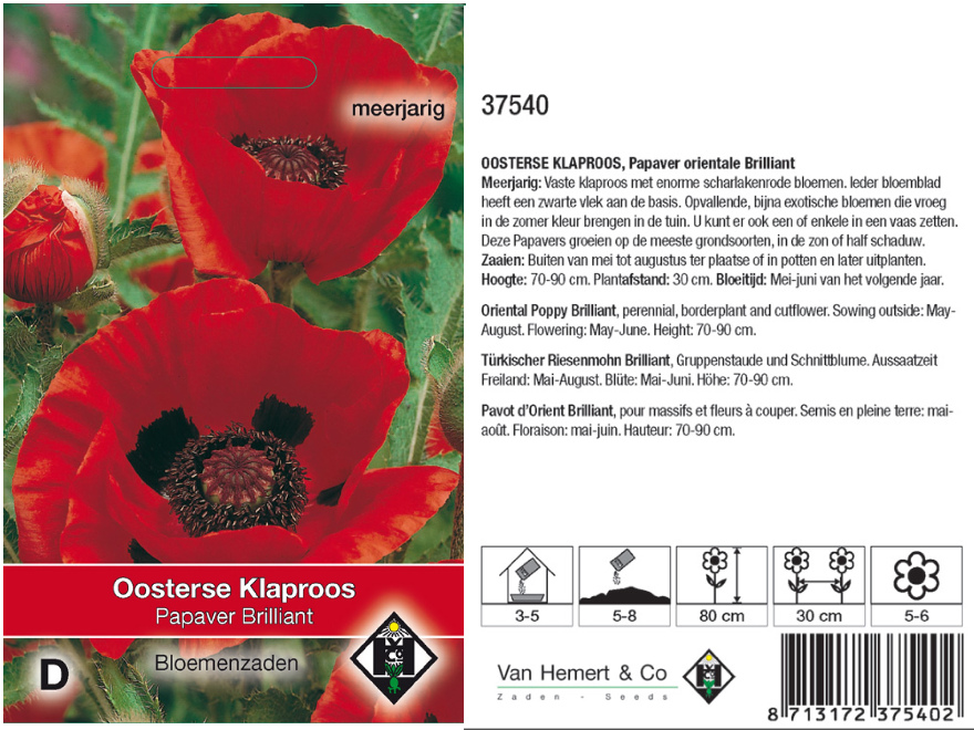 Papaver orientale 'Brilliant' Oosterse Klaproos