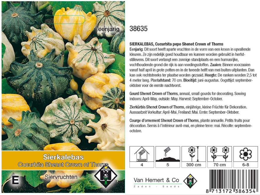 Cucurbita pepo 'Shenot Crown of Thorns' Sierkalabas