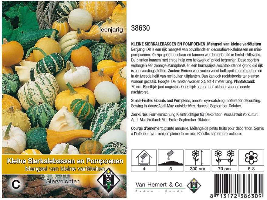 Cucurbita pepo mix Sierkalebassen en pompoenen mengsel