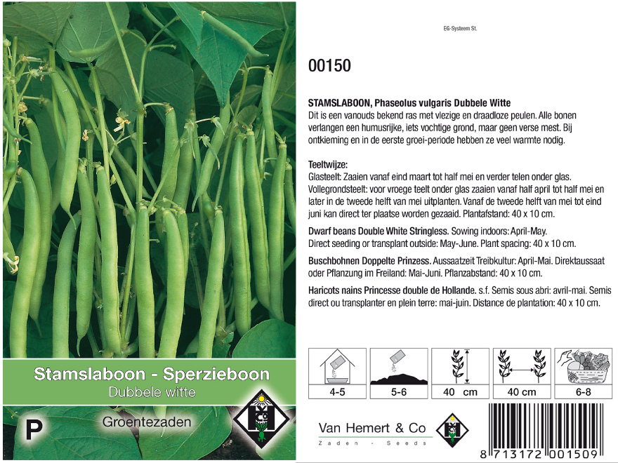 Phaseolus vulgaris 'Dubbele witte' Stamslaboon - Sperzieboon