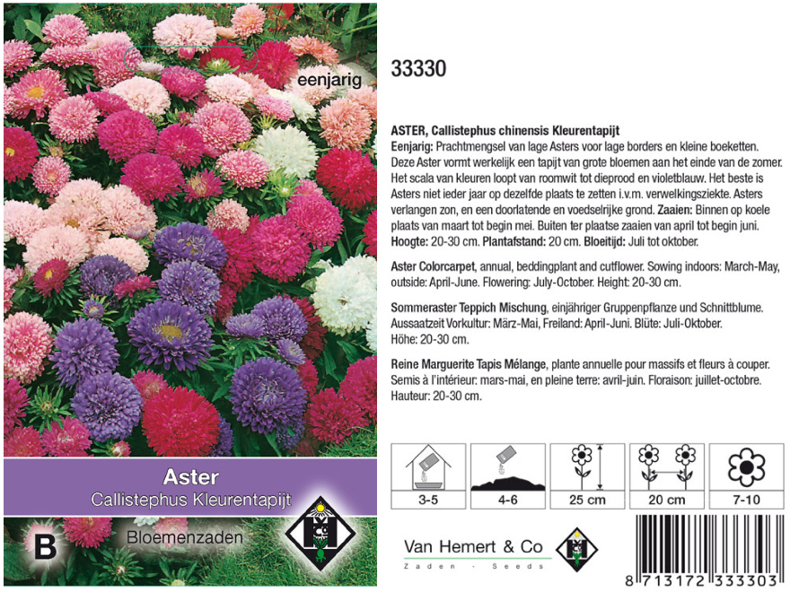 Aster chinensis Kleurentapijt Gemengde Kleuren Asters