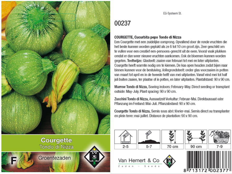 Cucurbita pepo' Tondo di Nizza' Ronde courgette