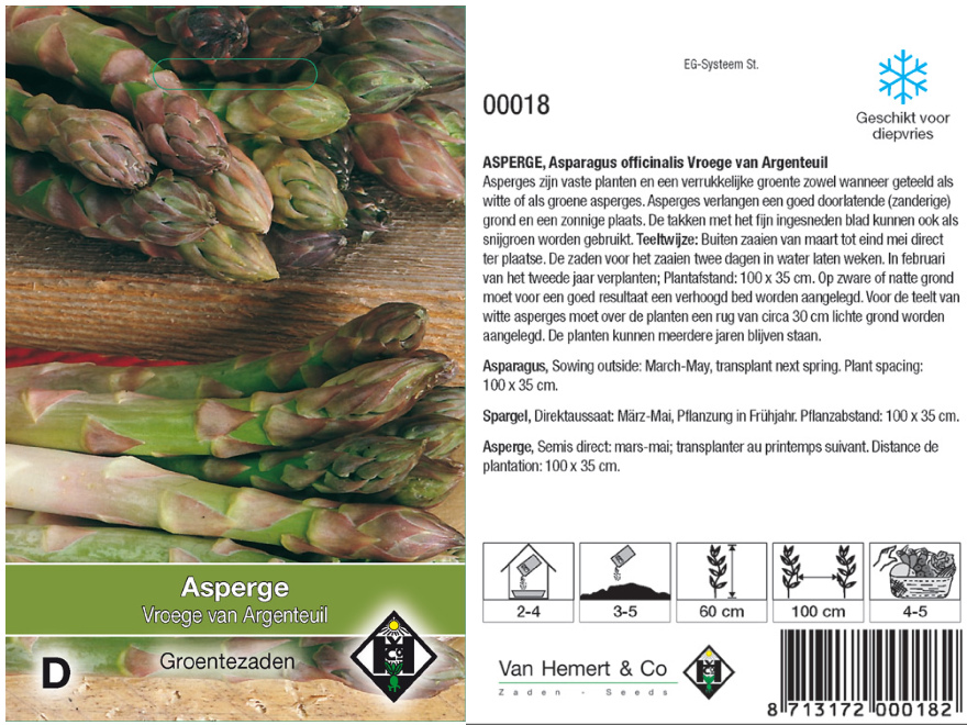 Asparagus officinalis 'Vroege van Argenteuil' Vroege Asperge