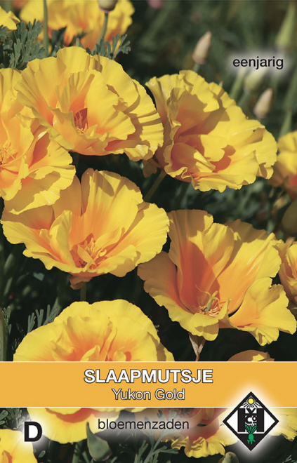 Eschscholzia californica 'Yukon Gold' Slaapmutsje 'Yukon Gold'