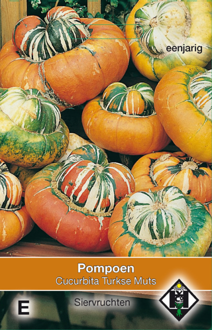 Cucurbita maxima 'Turkse Muts' Pompoen 'Turkse Muts'